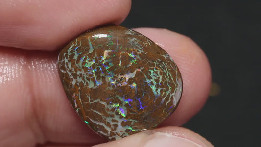 Australian Queensland Boulder Matrix opal 13.50cts Opalton rub/preform Stunning Exposed veins of Bright Vibrant Multifires 17x15x5mm BFA14