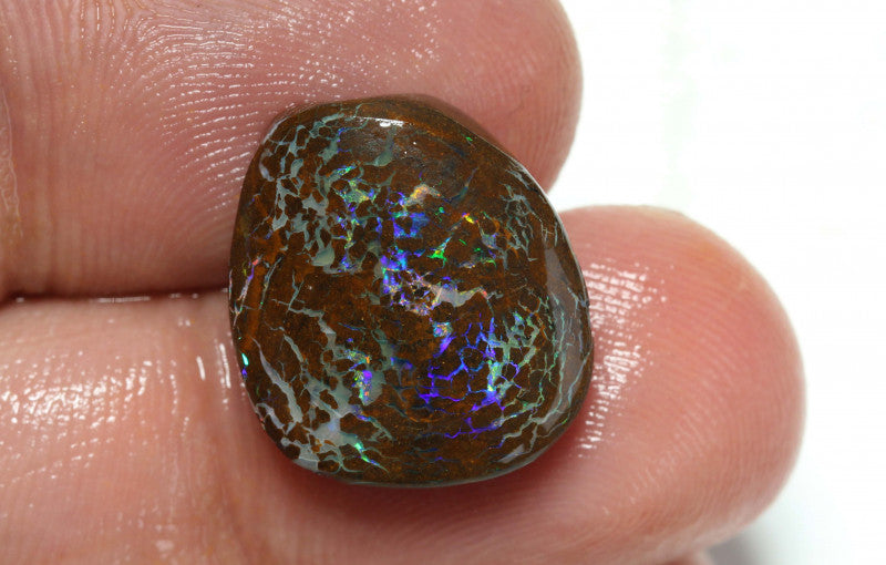 Australian Queensland Boulder Matrix opal 13.50cts Opalton rub/preform Stunning Exposed veins of Bright Vibrant Multifires 17x15x5mm BFA14