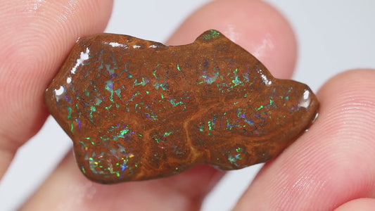 Australian Queensland Boulder Matrix opal single 24cts Tumbled rough Koroit Multifires to veins & Lots potential 30x16x9mm BFA31