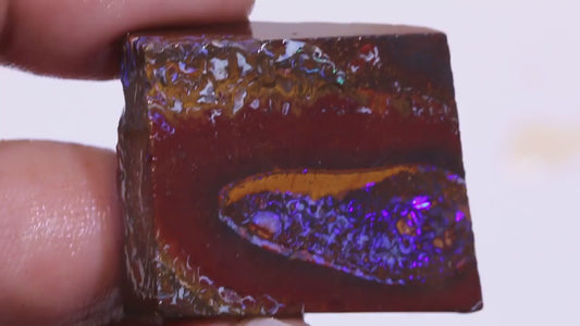 Australian Queensland Boulder Matrix opal 122cts rough / slice Stunning Yowah veins of Multifires 34x28x10mm BFA04